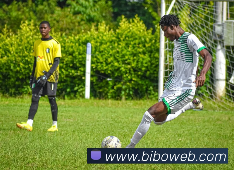 必博体育平台生态图