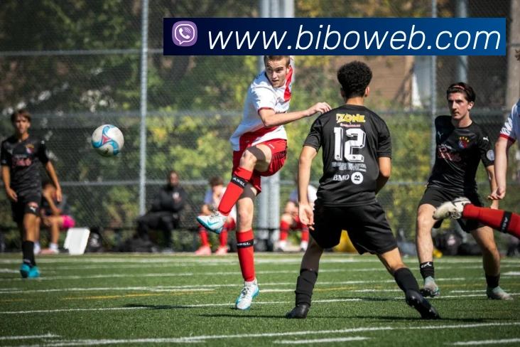 必博体育全站App